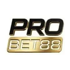 PROBET88 - Game Bingo Seru dan Menarik untuk Semua
